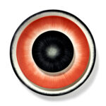 Ann Demeulemeester Geschirr Teller 28 cm