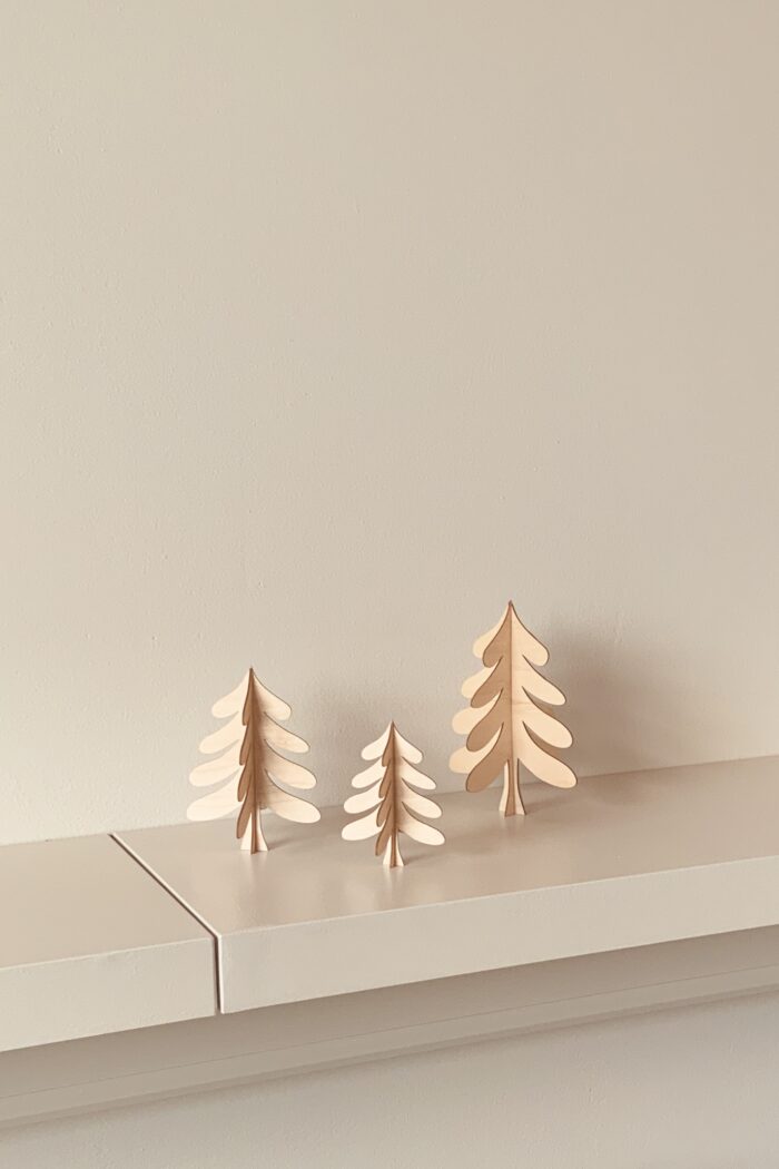 IMG_4879 August und Gertrude Tannenbaum Hans 3D – Bild 1