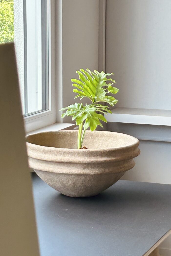 Serax Marie Michielssen Earth – Bild 1