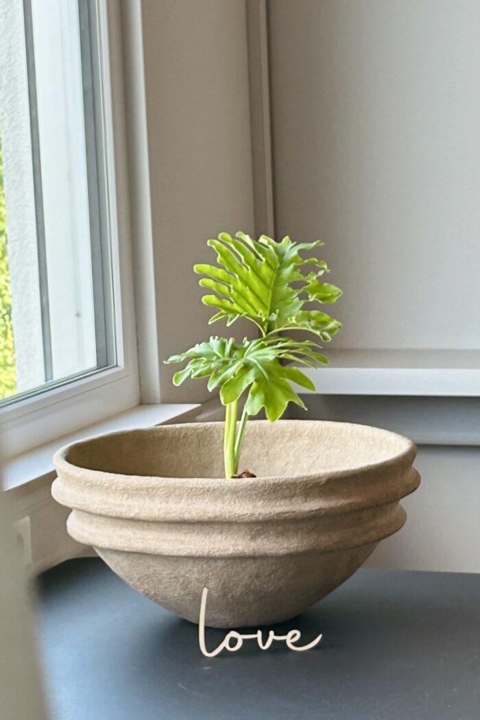 Serax Marie Michielssen Earth – Bild 6