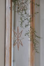 August und Gertrude Holzsterne Nova – Bild 3