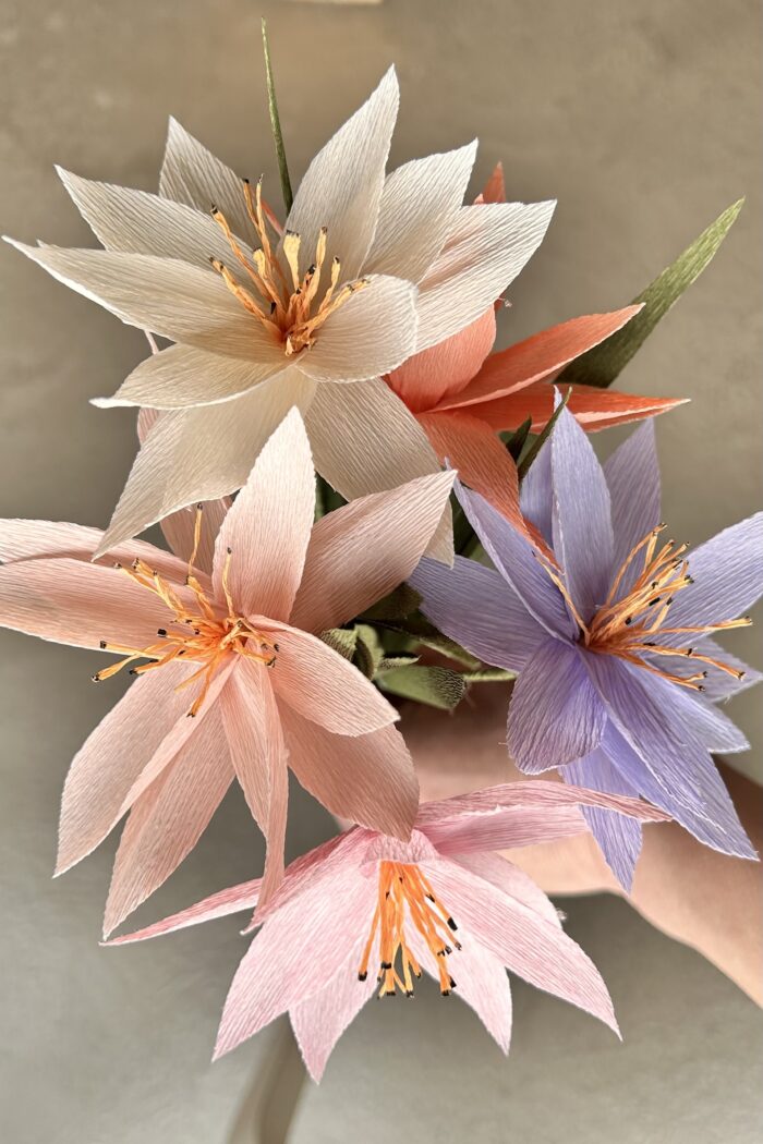 Krepppapier Blumen Claire 10cm – Bild 5