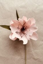 Papierblume Bel 12cm – Bild 2