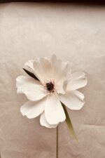 Papierblume Bel 12cm – Bild 4