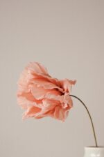 Papierblume Frieda 12cm – Bild 2