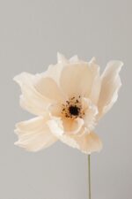 Papierblume Frieda 3 Blüten Creme-Olive – Bild 9