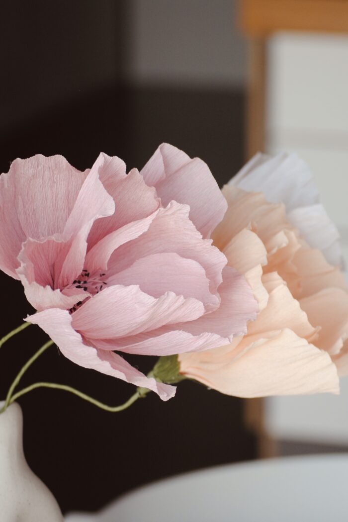 IMG_6128 Papierblume Frieda 3 Blüten Lachs-Rose – Bild 8