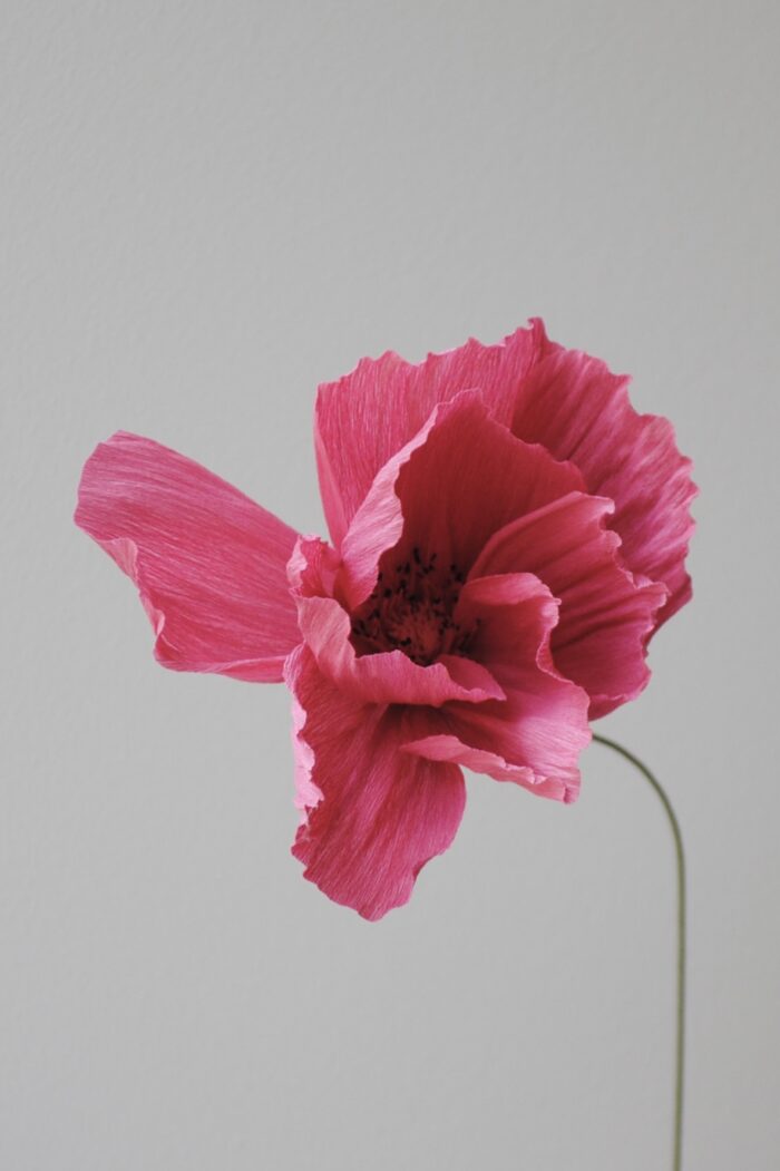 Papierblume Frieda 3 Blüten Kirsche - Bordeaux – Bild 4