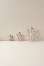 August und Gertrude Holzsterne Nova