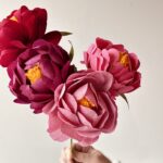 Workshop Papierblume Peony