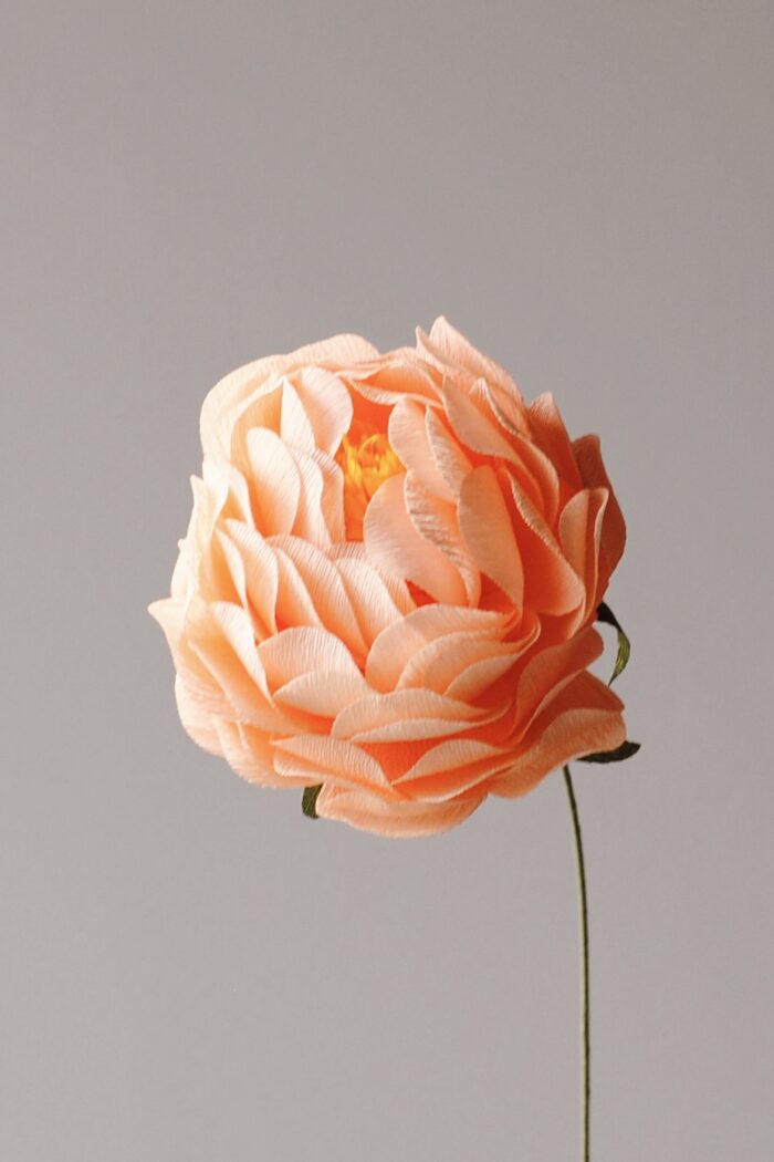 Papierblume Peony Erna 3 Blüten – Bild 5