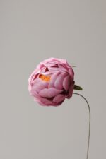 Papierblume Peony Erna 3 Blüten – Bild 12