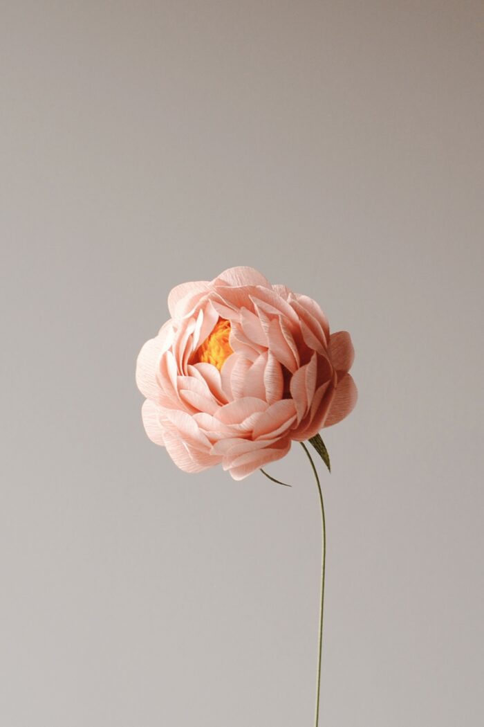 Papierblume Peony Erna 3 Blüten – Bild 6