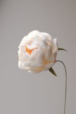 Papierblume Peony Erna 3 Blüten – Bild 8