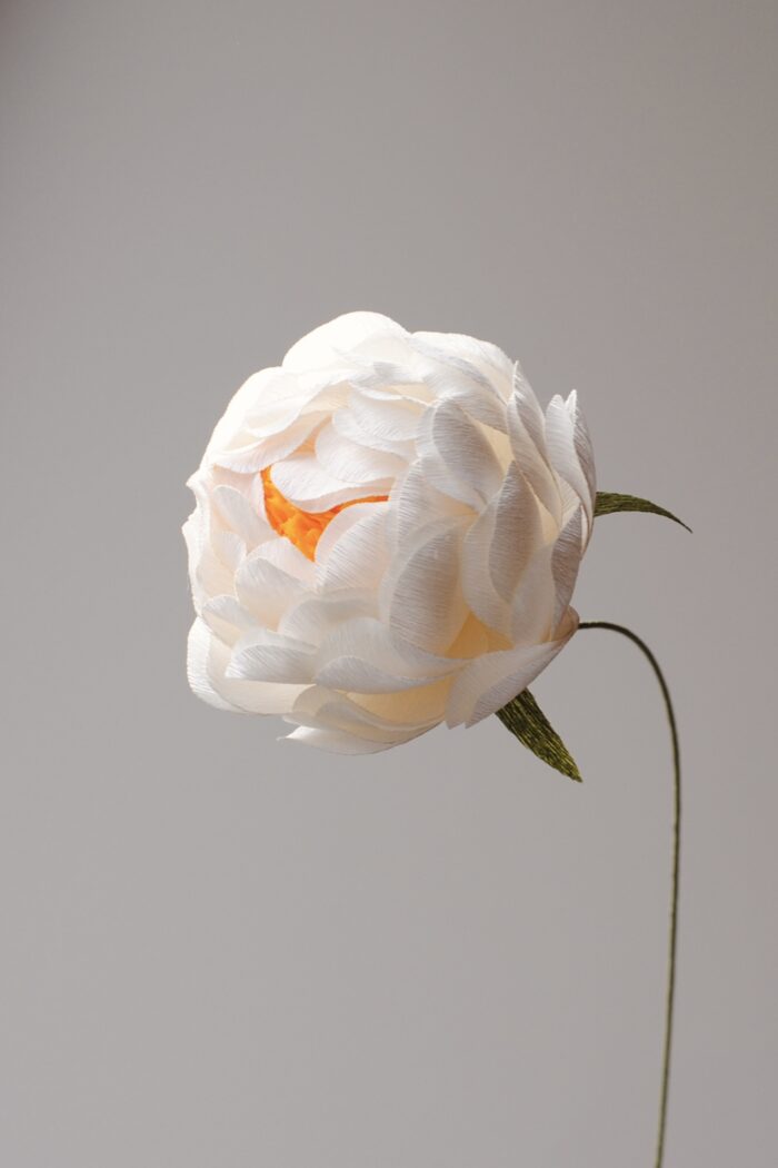 Papierblume Peony Erna 3 Blüten – Bild 8