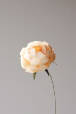 Papierblume Peony Erna 3 Blüten – Bild 7