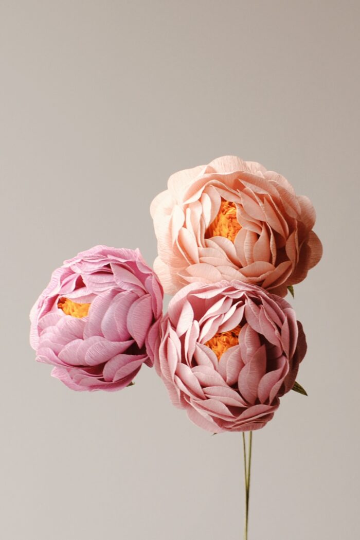 Papierblume Peony Erna 3 Blüten – Bild 4