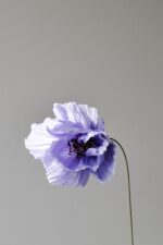 Papierblume Frieda 3 Blüten Zitronengelb - Flieder – Bild 6