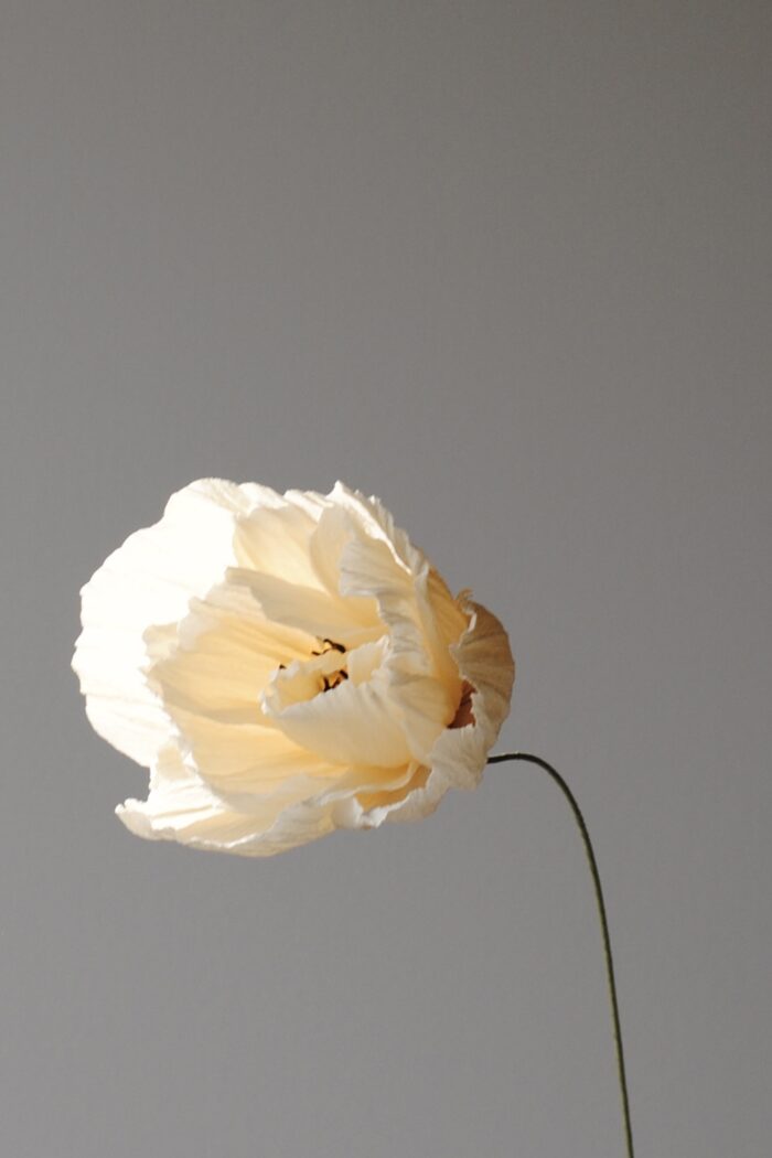 Papierblume Frieda 3 Blüten Zitronengelb - Flieder – Bild 5