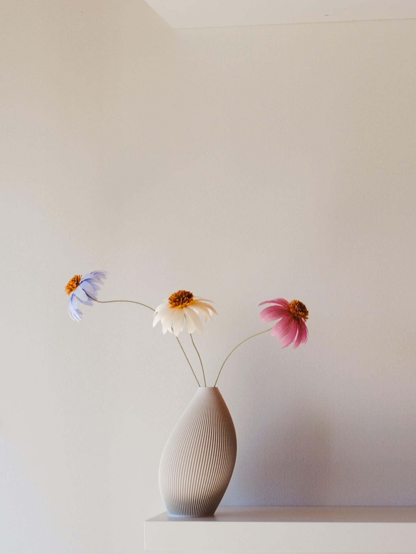 Krepppapierblume Echincea