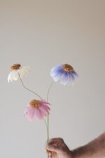 Workshop Papierblume Echinacea