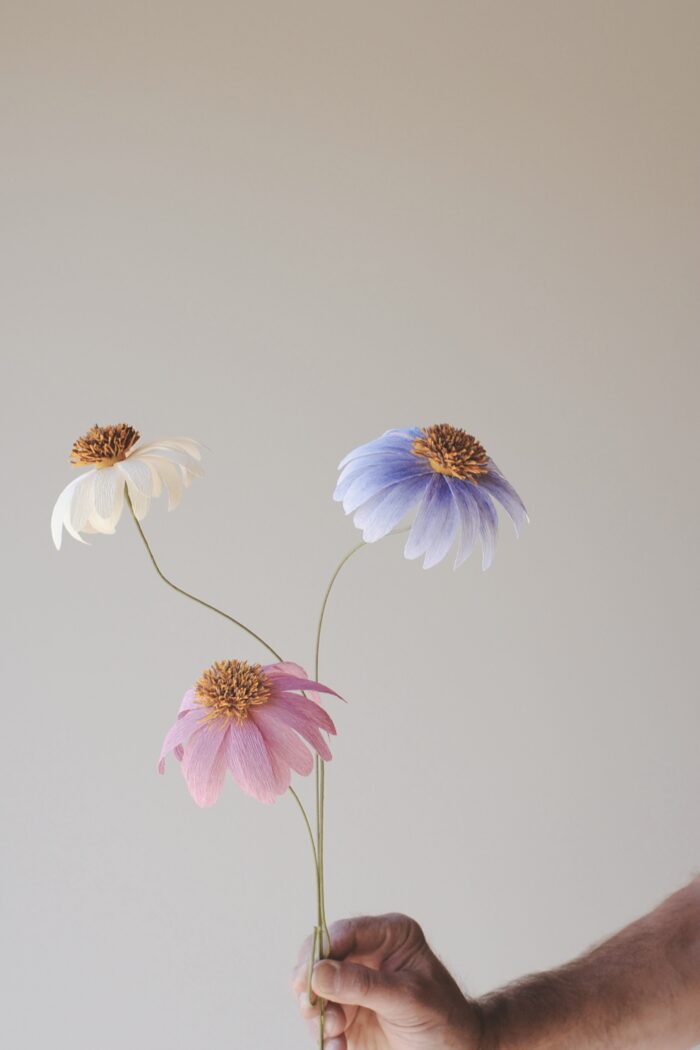 Workshop Papierblume Echinacea – Bild 2