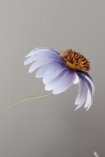 Workshop Papierblume Echinacea – Bild 3