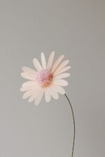 Papierblume Marga 3 Blüten creme lachs flieder – Bild 7