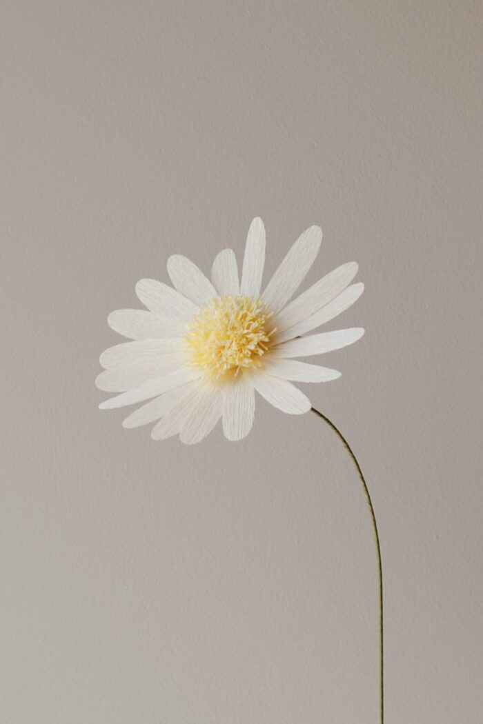 Papierblume Marga 3 Blüten creme lachs flieder – Bild 9