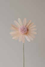 Papierblume Marga 3 Blüten creme lachs flieder – Bild 6