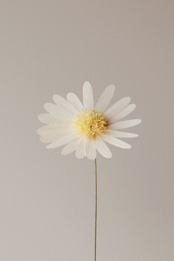 Papierblume Marga 3 Blüten creme lachs flieder – Bild 8